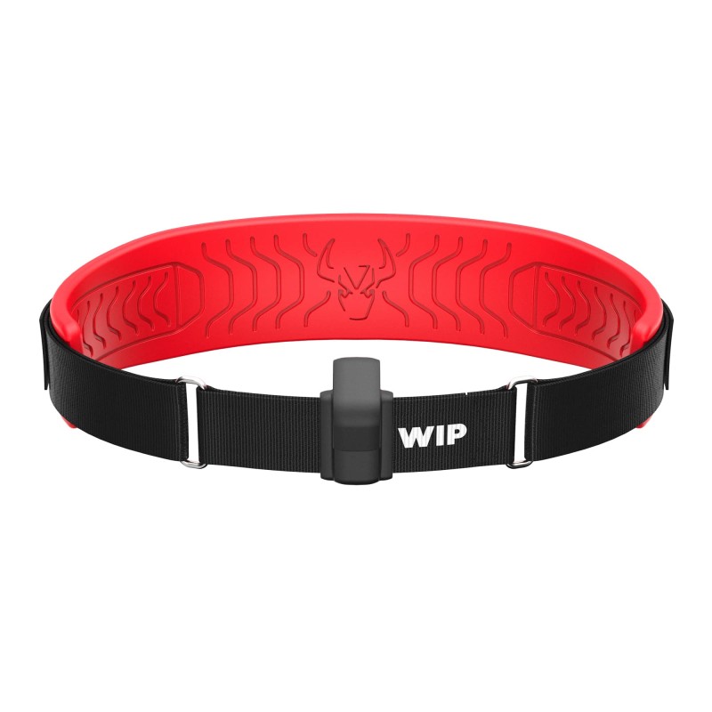 WING BELT 2.0 FORWARD