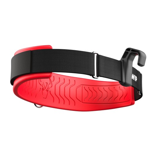 WING BELT 2.0 FORWARD