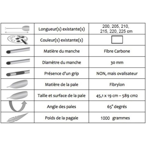 PAGAIE SWIFT FIBRE CARBONE