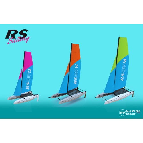 RS CAT 12