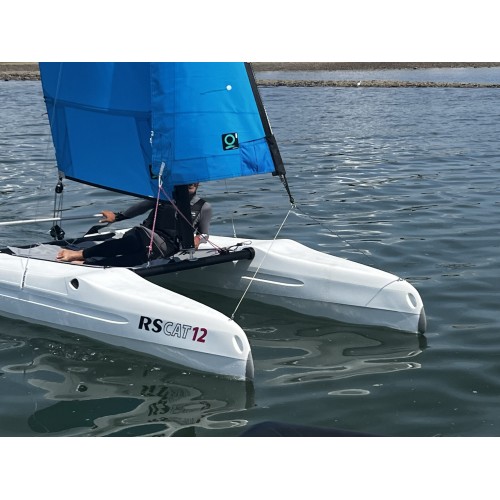 RS CAT 12